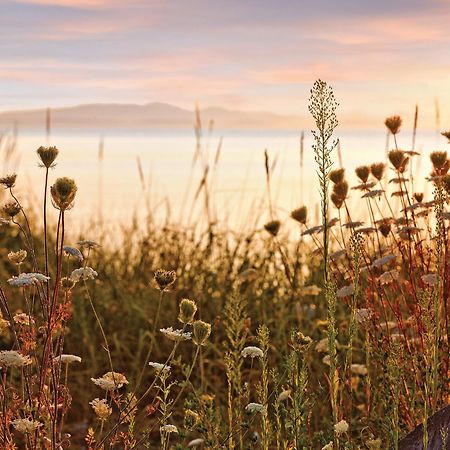 Worldmark Birch Bay Bagian luar foto